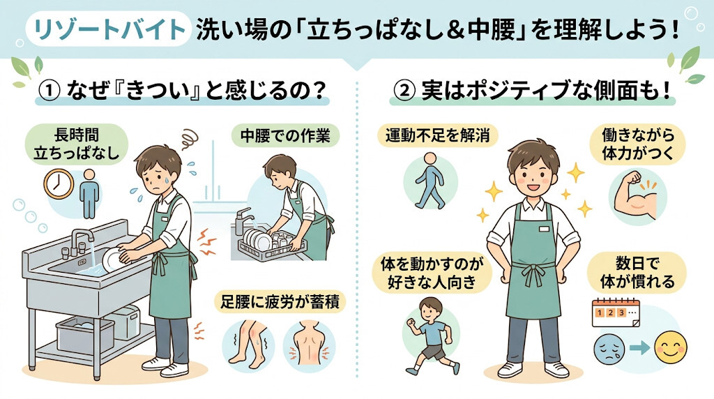④ 立ちっぱなし&中腰!腰と足への蓄積ダメージをわかりやすく図解
